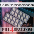 Grüne Hornissenlaschen 07
